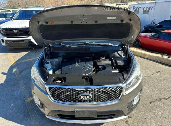 5XYPKDA5XGG104168 2016 KIA SORENTO Серый Вид задних сидений