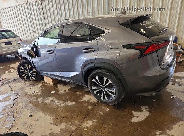 JTJSARDZ9L5007388 2020 LEXUS NX Gray Trasero derecho