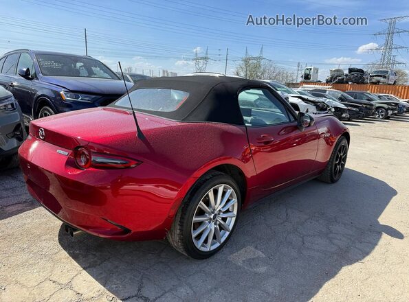 JM1NDAC79R0607083 2024 MAZDA MX-5 Темно-бордовый Вид спереди