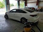 2018 Hyundai Sonata Se Белый vin: 5NPE24AF4JH652263 2018 Hyundai Sonata Se Белый vin: 5NPE24AF4JH652263