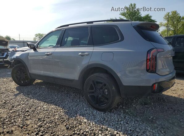 5XYP3DGCXSG599323 2025 KIA TELLURIDE Серый Задняя правая четверть