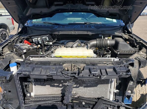 1FTMF1L57SKD93371 2025 FORD F150 Синий Вид задней части салона