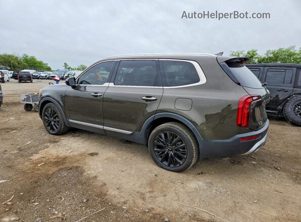 5XYP54HC2LG080731 2020 KIA TELLURIDE Green უკანა მარჯვენა