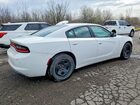 2017 Dodge Charger Police Белый vin: 2C3CDXAG4HH590401