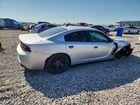 2019 Dodge Charger Police Серебряный vin: 2C3CDXAT5KH568072