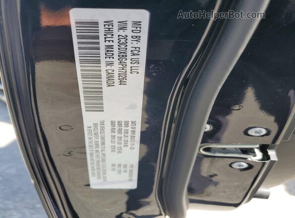 2C3CDXBG4PH702644 2023 DODGE CHARGER Black Engine compartment view