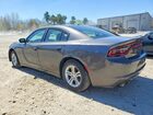 2019 Dodge Charger Sxt Gray vin: 2C3CDXBG5KH658260