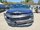 2019 Dodge Charger Sxt Gray vin: 2C3CDXBG5KH658260