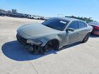 2019 Dodge Charger Sxt Gray vin: 2C3CDXBG7KH659930