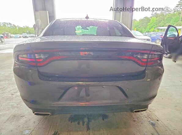 2C3CDXBG8PH647535 2023 DODGE CHARGER Gray Вид ззаду