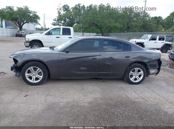 2C3CDXBG9LH117648 2020 DODGE CHARGER Серый Панорамный вид салона 360°