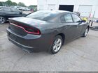 2020 Dodge Charger Sxt Rwd Серый vin: 2C3CDXBG9LH117648