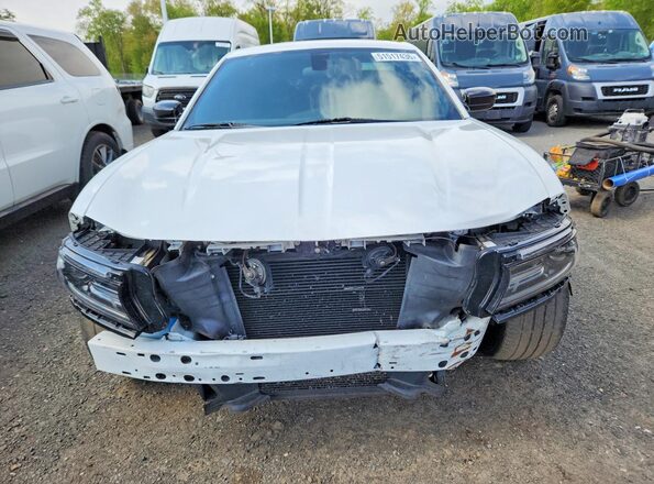 2C3CDXBG9LH140007 2020 DODGE CHARGER Белый Вид спереди