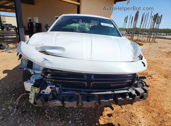 2C3CDXBGXPH529485 2023 DODGE CHARGER Белый Вид спереди