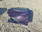 2022 Dodge Charger R Purple vin: 2C3CDXCT2NH246443