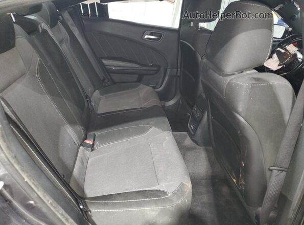 2C3CDXCT8GH356187 2016 DODGE CHARGER Gray Rear seats view