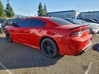 2019 Dodge Charger Scat Pack Red vin: 2C3CDXGJ4KH696664