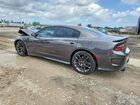 2020 Dodge Charger Scat Pack Gray vin: 2C3CDXGJ7LH107091