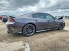 2020 Dodge Charger Scat Pack Gray vin: 2C3CDXGJ7LH107091