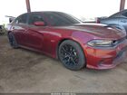 2019 Dodge Charger Scat Pack Rwd Burgundy vin: 2C3CDXGJ8KH696599