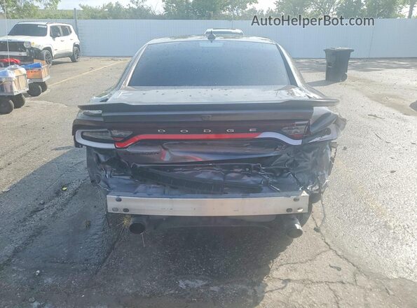 2C3CDXGJ8LH204493 2020 DODGE CHARGER Gray Widok z tyłu