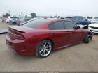 2019 Dodge Charger Gt Rwd Бордовый vin: 2C3CDXHG5KH737869