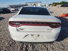 2017 Dodge Charger Sxt Белый vin: 2C3CDXHG8HH584249