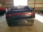 2023 Dodge Charger Gt Black vin: 2C3CDXHG8PH560046