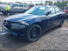 2021 Dodge Charger Police Awd Dark Blue vin: 2C3CDXKG5MH554080