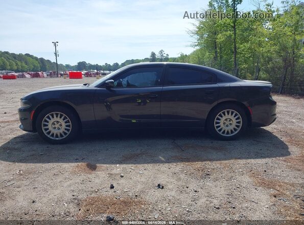 2C3CDXKT1KH533138 2019 DODGE CHARGER Gray 