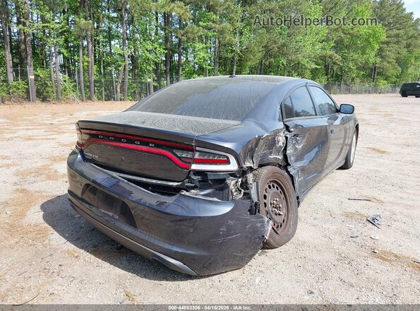 2C3CDXKT1KH533138 2019 DODGE CHARGER Gray უკანა მარჯვენა