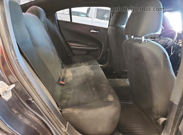 2C3CDXKT5GH160810 2016 DODGE CHARGER Синий Вид задних сидений