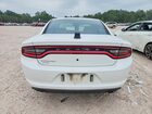 2016 Dodge Charger Police Белый vin: 2C3CDXKT9GH341988