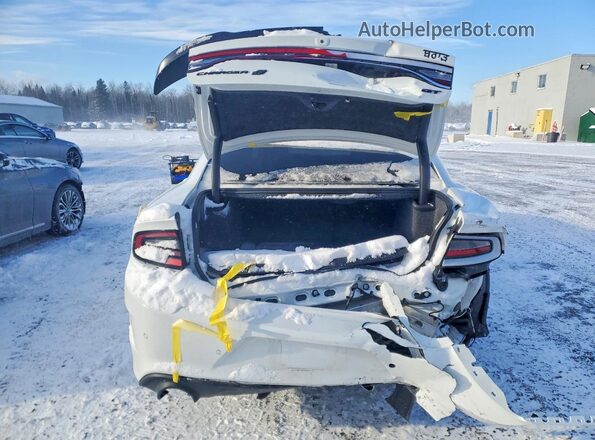 2C3CDXMG4PH599478 2023 DODGE CHARGER White Rear view