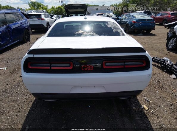 2C3CDZAG2HH509049 2017 DODGE CHALLENGER Белый 