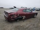 2021 Dodge Challenger Sxt Бордовый vin: 2C3CDZAG2MH534320