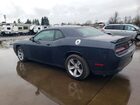 2019 Dodge Challenger Sxt Gray vin: 2C3CDZAG3KH534730