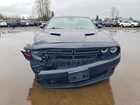 2019 Dodge Challenger Sxt Gray vin: 2C3CDZAG3KH534730