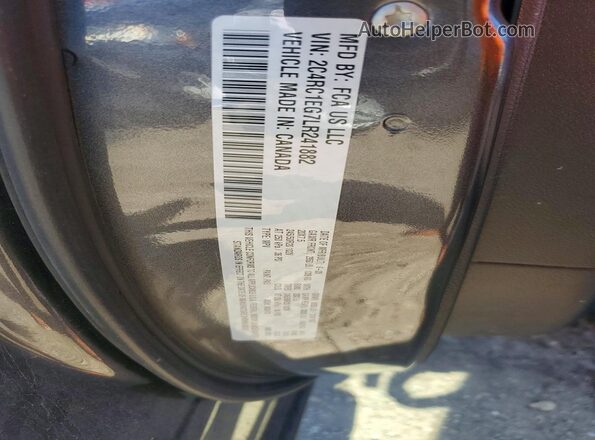 2C4RC1EG7LR241882 2020 CHRYSLER PACIFICA Gray Vista de la etiqueta del VIN