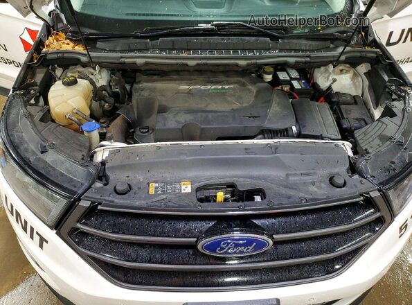 2FMPK4AP6GBB66670 2016 FORD EDGE Белый Вид задней части салона