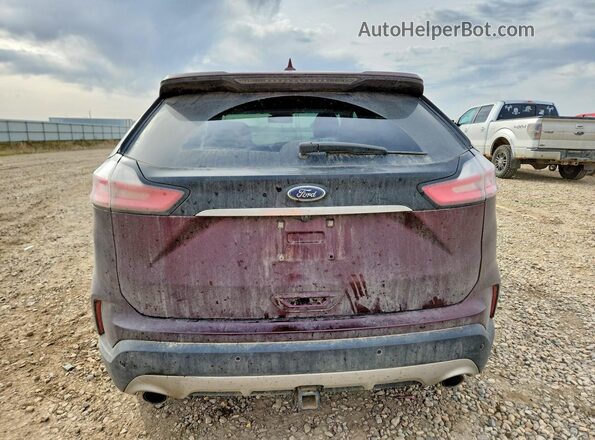 2FMPK4J98LBA69840 2020 FORD EDGE Purple Вид ззаду
