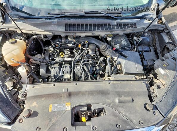 2FMPK4J9XLBA29713 2020 FORD EDGE Gray Widok wnętrza z tyłu