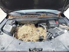 2016 Chevrolet Equinox Lt Черный vin: 2GNALCEK3G6355129