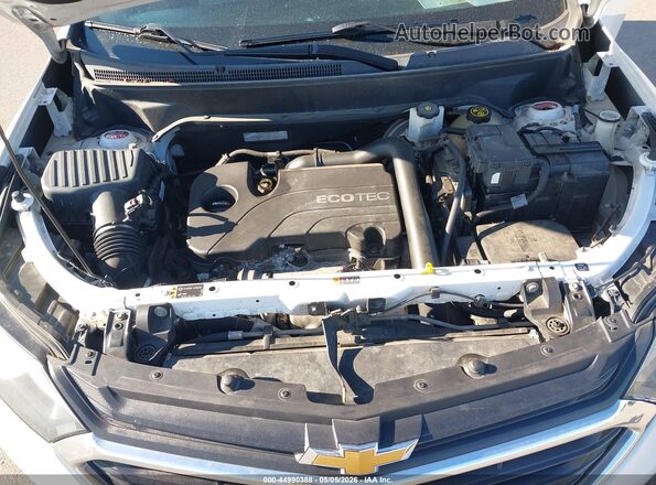 2GNAXJEV8J6163067 2018 CHEVROLET EQUINOX Белый Вид сзади
