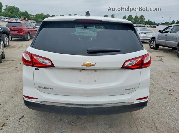 2GNAXUEVXM6159897 2021 CHEVROLET EQUINOX Белый Вид сзади