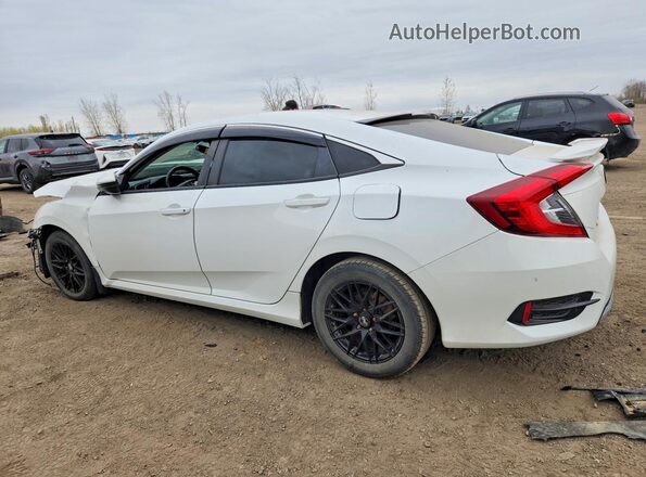 2HGFC2E53LH032976 2020 HONDA CIVIC White Tył lewy
