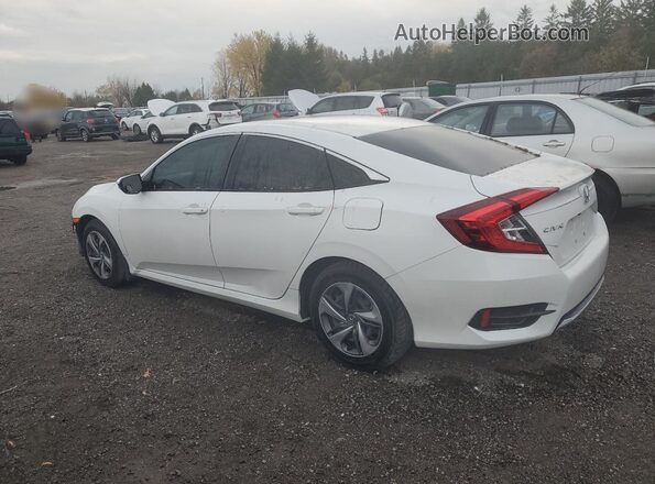 2HGFC2F51MH003525 2021 HONDA CIVIC White Trasero izquierdo