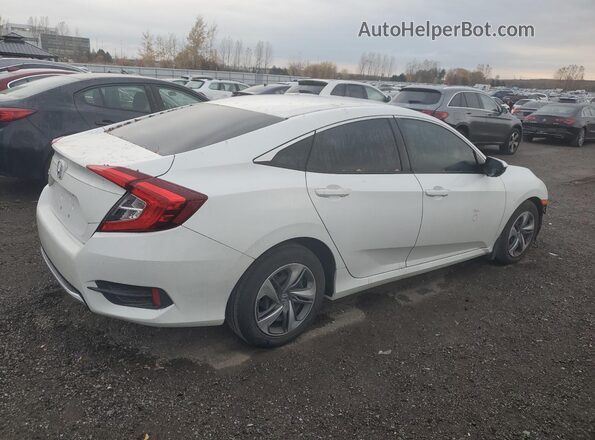 2HGFC2F51MH003525 2021 HONDA CIVIC White Trasero derecho