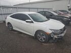 2021 Hond Civic Lx White vin: 2HGFC2F51MH003525