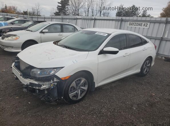 2HGFC2F51MH003525 2021 HONDA CIVIC White Vista tres cuartos delantera izquierda